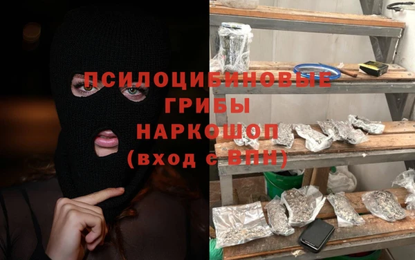 гидропоника Белокуриха