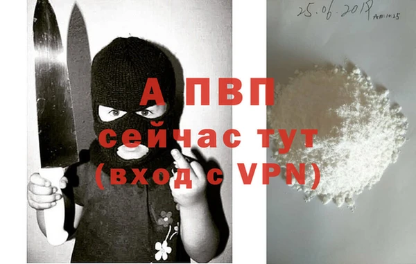 ECSTASY Богородицк